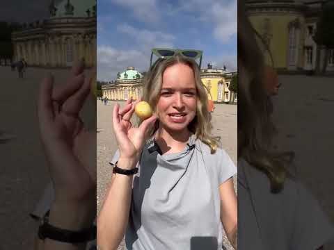 Why Tourists Place Potatoes Near Sanssouci Palace