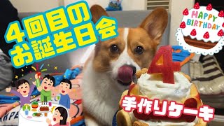 【祝！４才】じゃろくんハッピーバースデー！！！手作りケーキでお祝い【コーギー】