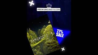 Buy Samorost 3 PC Steam - upto 77% off  #deals #steam