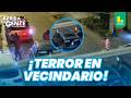 Delincuentes asaltan a pareja y realizan disparos para evitar ayuda | Arriba Mi Gente