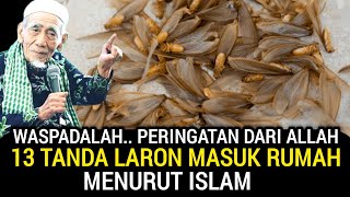 TERRIFYING..!! 13 SIGNS FROM ALLAH IF SWARMING TERMITES ENTER YOUR HOME ACCORDING TO ISLAM