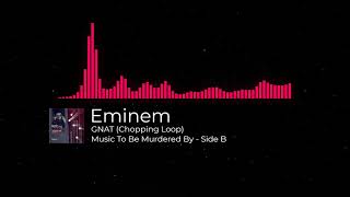 Eminem - GNAT - Fast Verse Loop