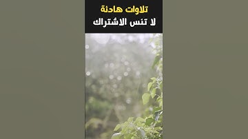 تلاوة هادئة تريح الأعصاب | سورة الزمر- الآية: 21 #خفايا_المعرفة