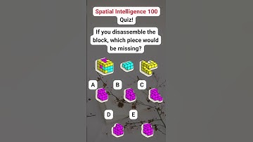 Spatial Intelligence 100 Quiz!