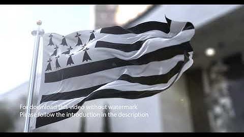 Buryatia flag with 3d effect blowing in the wind 3D Flag V2 long