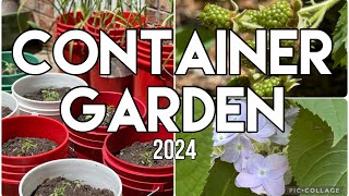 Container Garden 2024 #containergardening #plants