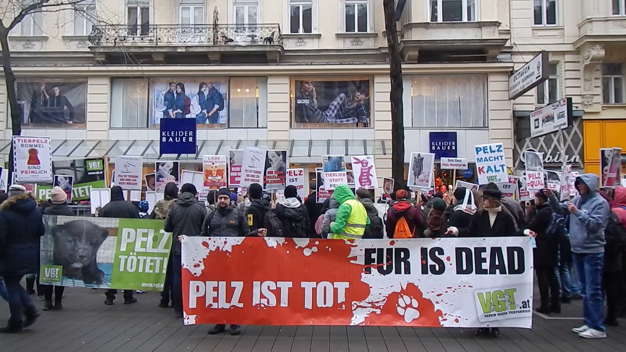 Verein gegen Tierfabriken:Pelz ist tot,Pelz ist Mord !