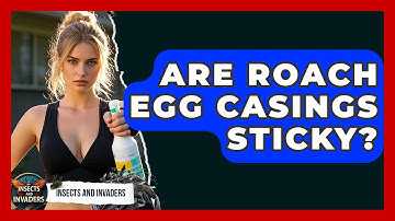 Are Roach Egg Casings Sticky? - Insects and Invaders