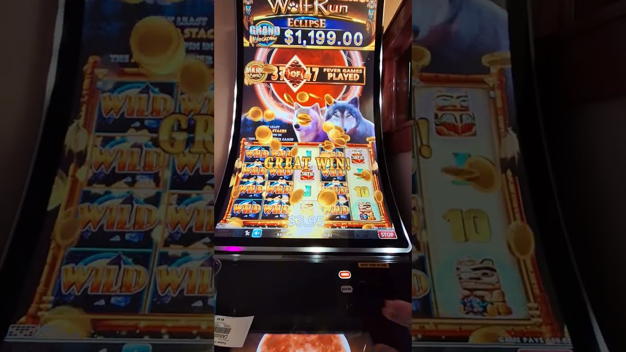 Wolf Run Eclipse  80cent Major vs VooDoo Jackpot $2.40 Bonus .... who wins may surprise you...