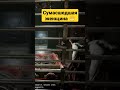 Outlast - ЧЕЛОВЕК В МЯСОРУБКЕ #shor