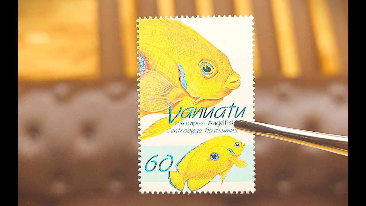 Коллекция почтовых марок фауна - новые покупки - июль 2025