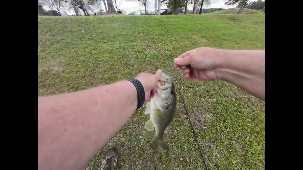 Bigger swimbait fishing. 3 cast to catches. #bassfishing #fishing #swimbait