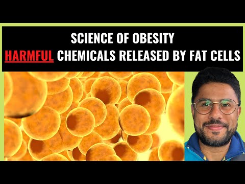 Science of Obesity - How Fat Cells Release Good & Bad Adipokines  (Pt III)
