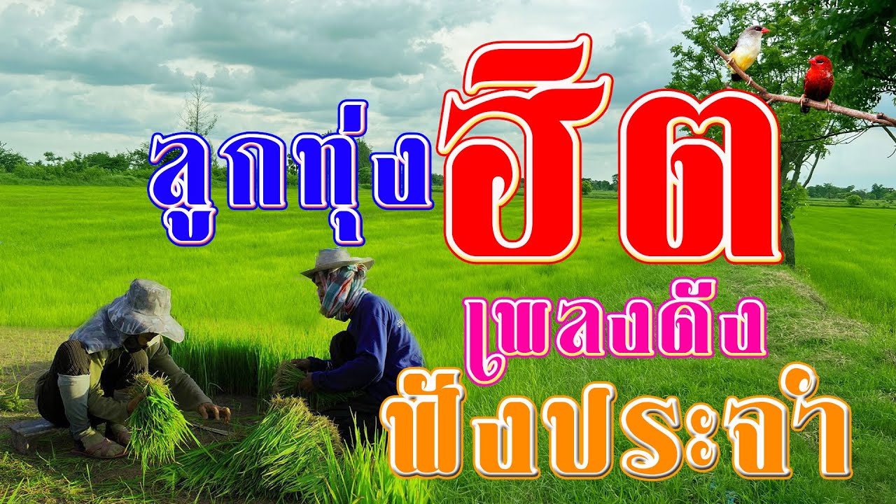 รวมเพลงลูกทุ่งฮิตเพลงดังฟังประจำ