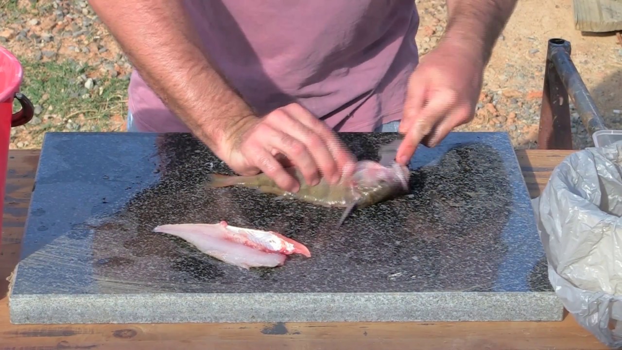 Filleting Redfin How i do it !!! YouTube