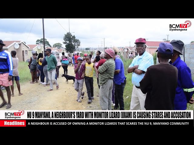 BcmTv : Uxam (monitor Lizard) at Manyano akwa9 Mdantsane class=