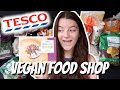 TESCO FOOD HAUL // £15 Weekly Budget