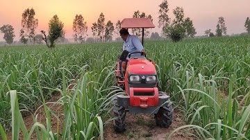 Kubota A211n | Ploughing Sugarcane Field with Reverse Forward Rotavator
