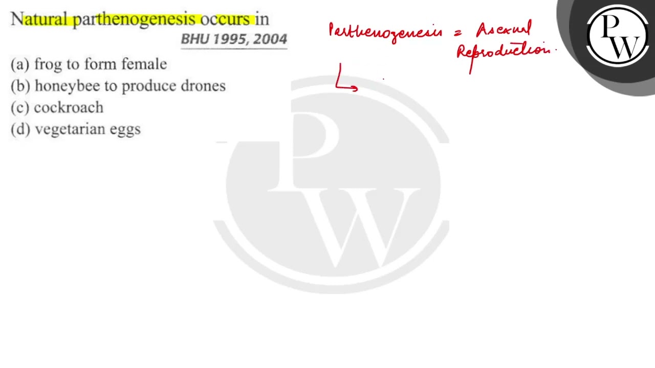 Natural parthenogenesis occurs in
BHU 1995, 2004
(a) frog to form female
(b) honeybee to produce...