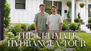 The Ultimate Hydrangea Tour | Gardener in Love