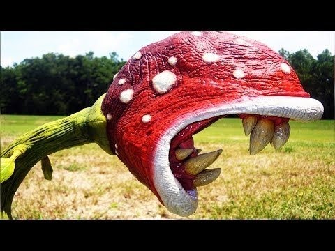 世界10の驚異の植物 Youtube