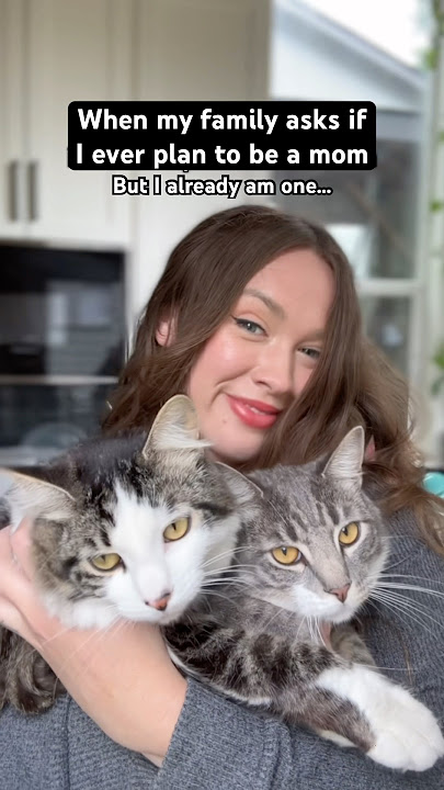 Just a single mom of 6… fur babies 🐱🐱🐱🐱🐱🐶 #imamommy