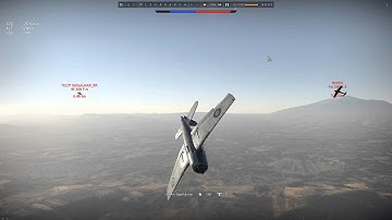 F6F: Highway to Hell-cat
