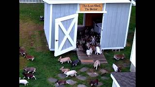 Shed Sign Option 1