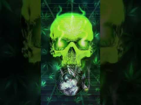 ربيع العمري لفلي حشيش النسخة الأصلية مع كلمات     