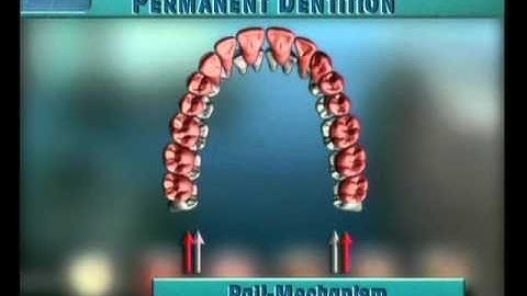 Clip 22: The Rail Mechanism
