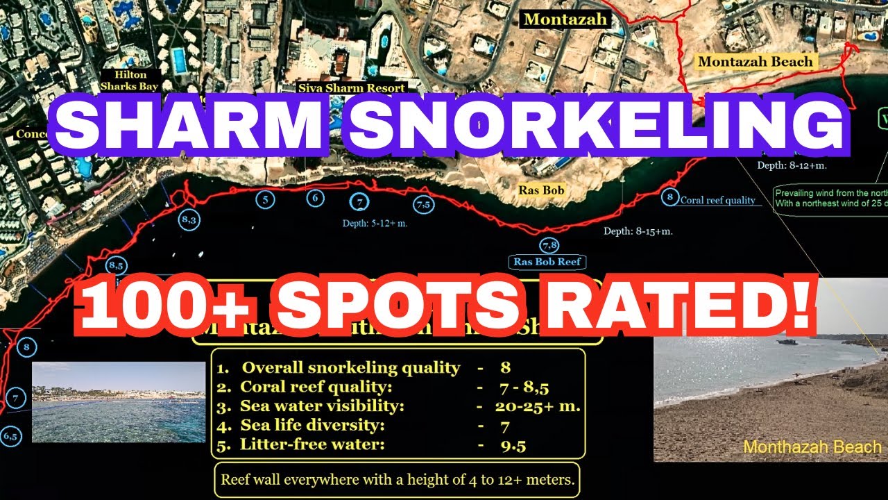 Sharm El Sheikh Snorkeling. 100+ Spots Rated & Mapped!