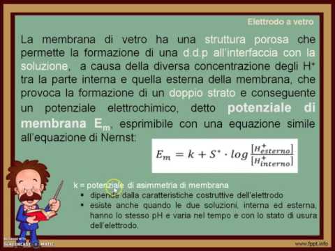 Video: Abbiamo bisogno di un elettrodo di riferimento?