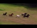 Ускакала в поле молодая лошадь