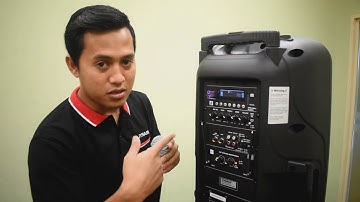 Dynamax PRO210 Portable PA Speaker with double 10" woofer, Bluetooth/USB/SD