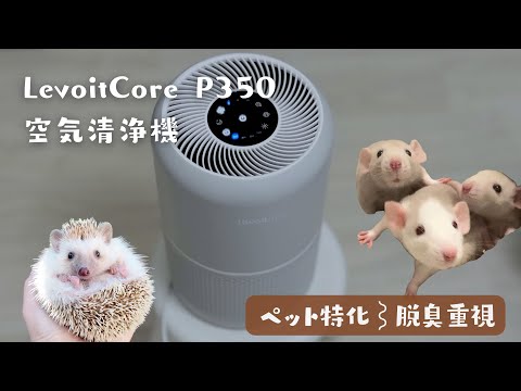 【脱臭重視】Levoit Core P350 ペットの匂い対策【空気清浄機】