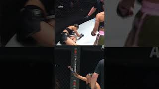 Ko Keras Jackie Buntan Dari Berbagai Sudut