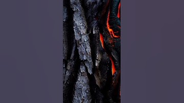 سورة القيامة بصوت القارئ حمزة بوديب الجزء 02 | Surat ALkeyama Hamza Boudib