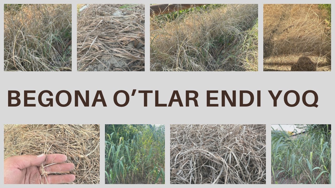 Royxatdan holda qora dantelli porno onlayn tomosha qiling