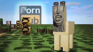 My friends made me a Minecraft texture pack...