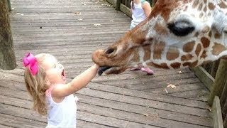 Ultimate Cute Pets vs. Epic Kids Fails Compilation | Funny Pet Videos