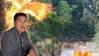 Video thumbnail of "El Fenix y Sus Teclados - No Te Puedo Olvidar"