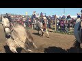 Leonard Hale wild horse race