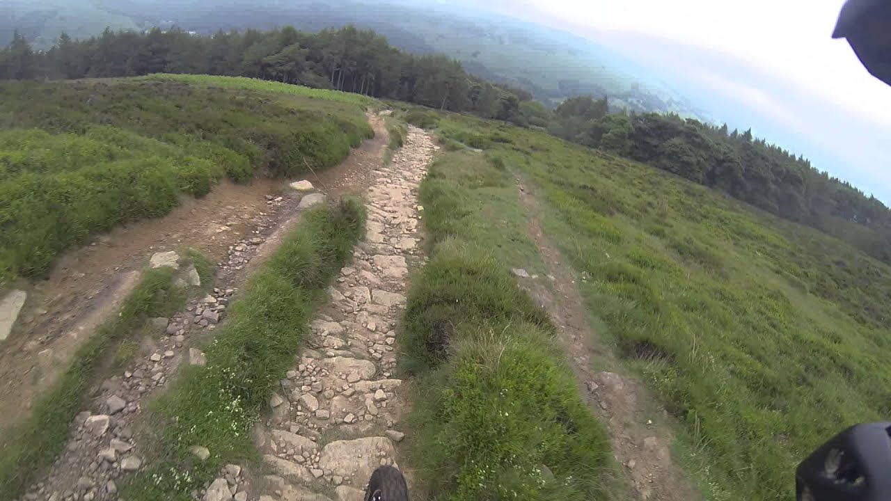 mam tor email