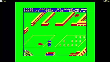 Pedro By Imagine In 1984 DRAGON DATA LTD DRAGON 32 64 COMPUTER