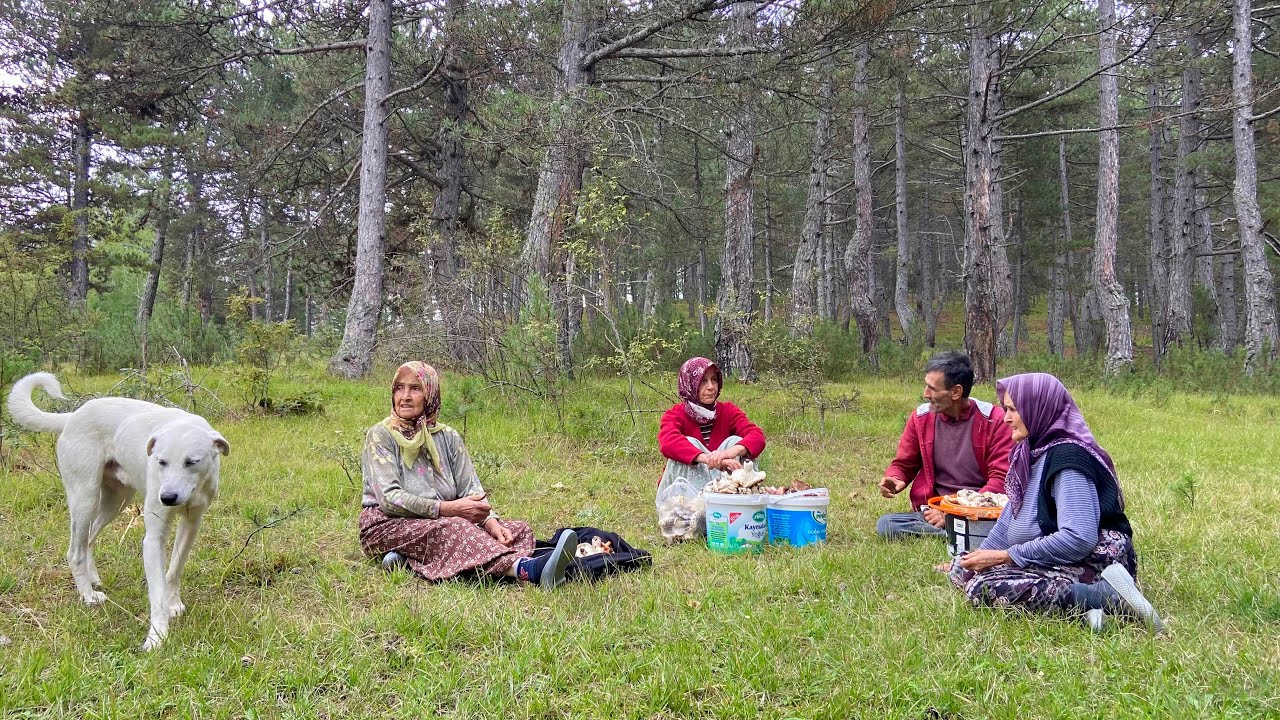 Тяжелая и счастливая деревенская жизнь в высоких горах Турции. Документальный фильм