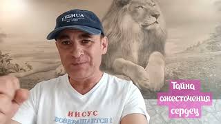 картинка: Тайна ожесточения сердец
