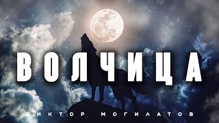 ВОЛЧИЦА | Новинка 2023 | Виктор Могилатов