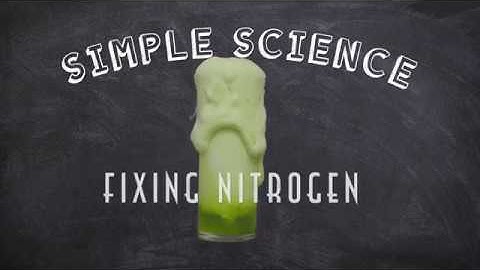Simple Science: Fixing Nitrogen