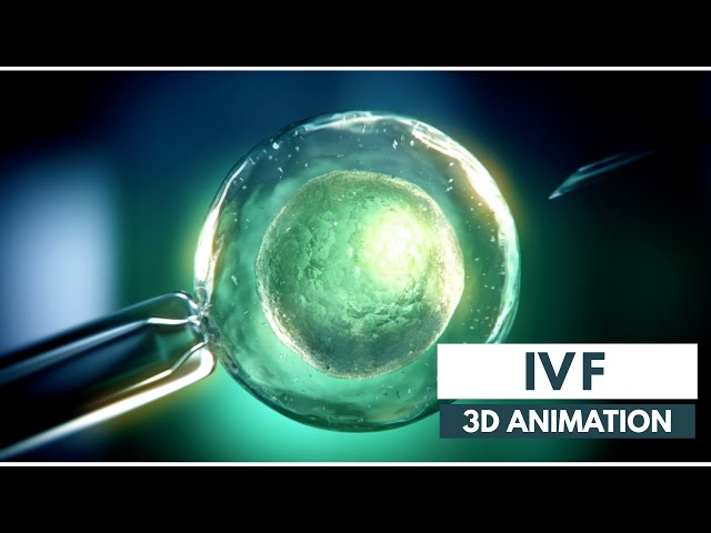 How IVF works | 3D Animation class=