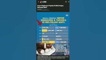 Impor Singkong dan Tapioka Melonjak 800%, Petani Singkong Bersedih #petani #petanisingkong #impor